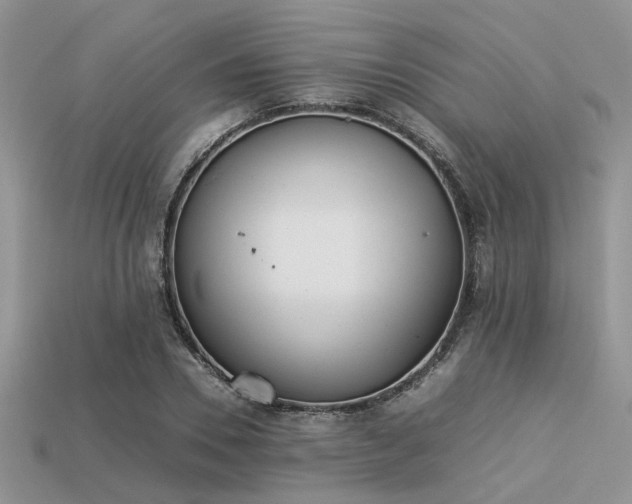 X0000113540930200909181153