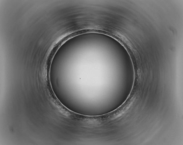 X0000113540931200909181153