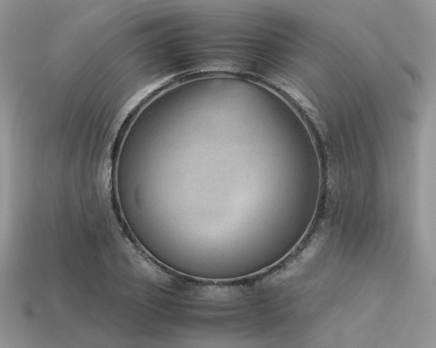 X0000113540933200909181153