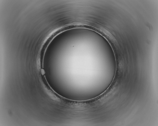 X0000113540934200909181153