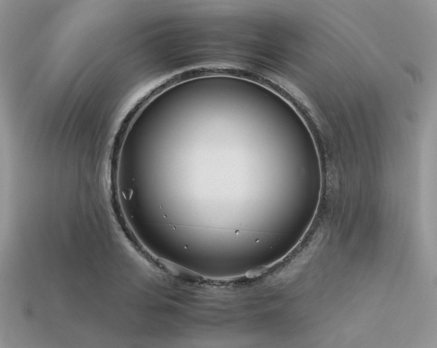 X0000113540935200909181153