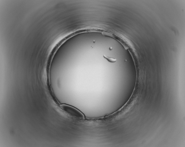 X0000113540936200909181153