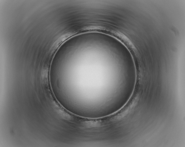 X0000113540937200909181153