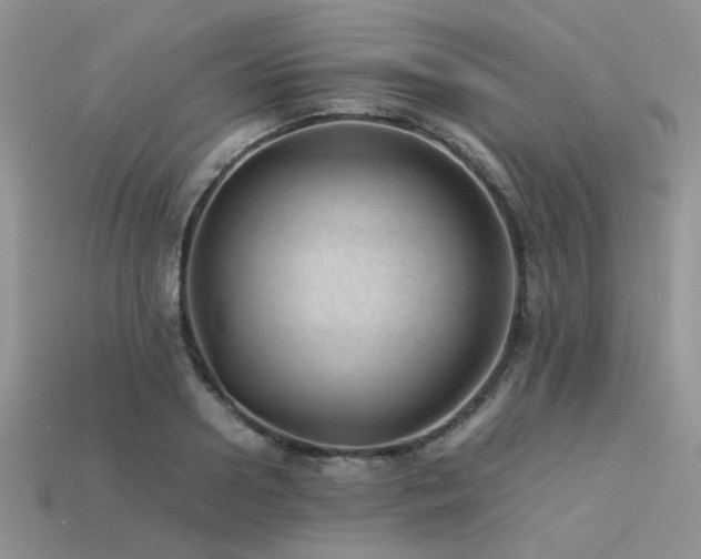 X0000113540938200909181153