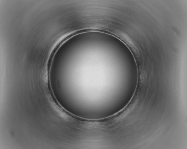 X0000113540940200909181153