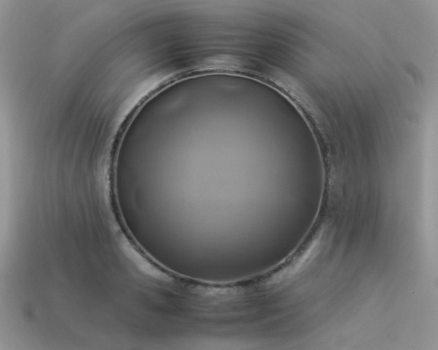 X0000113540941200909181153