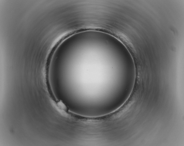 X0000113540942200909181153
