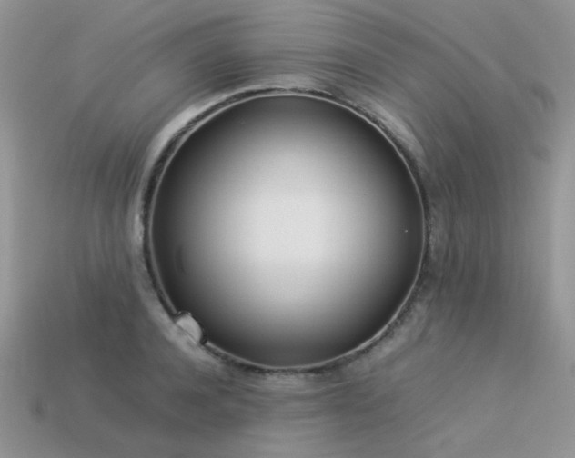 X0000113540944200909181154