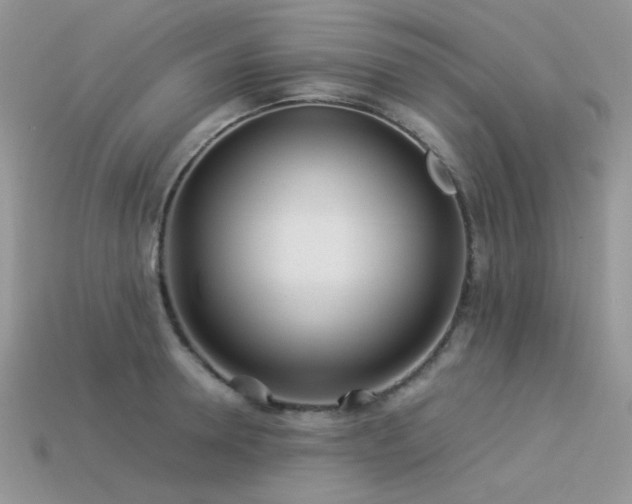 X0000113540946200909181154