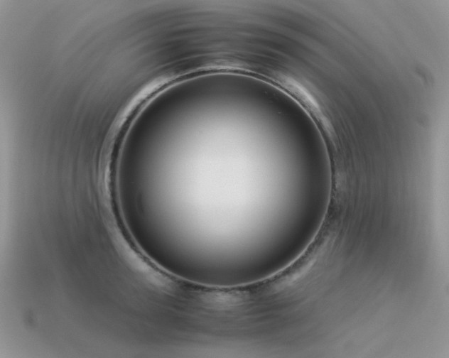 X0000113540947200909181154
