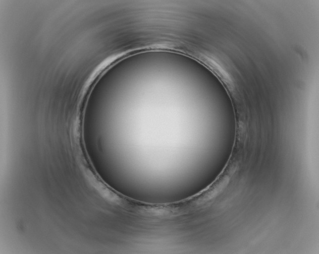 X0000113540948200909181154