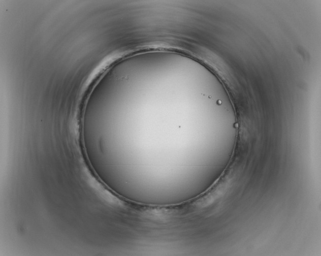 X0000113540950200909181154