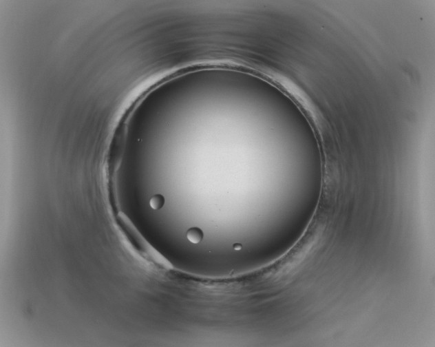 X0000113540951200909181154