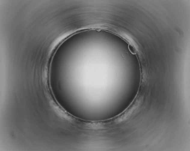 X0000113540952200909181154