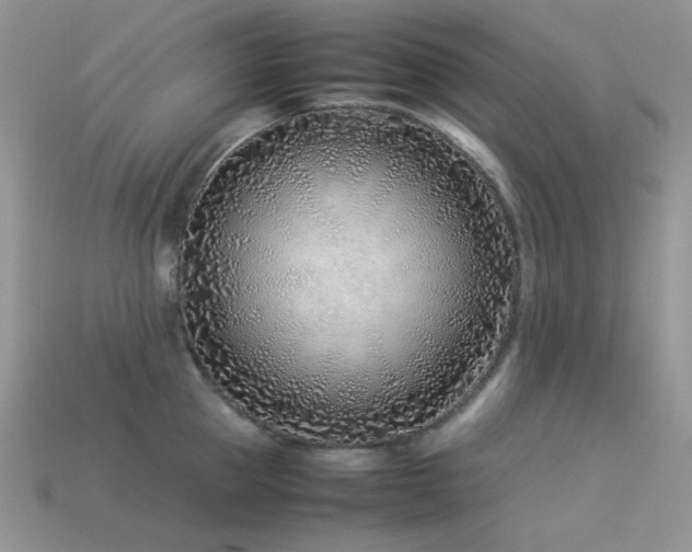 X0000113540953200909181154