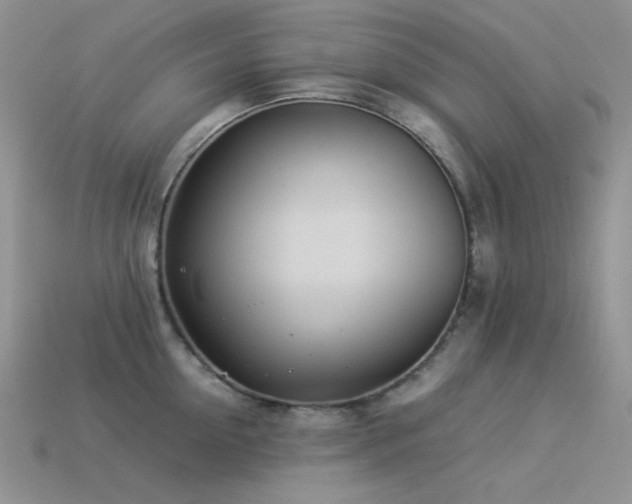 X0000113540954200909181154