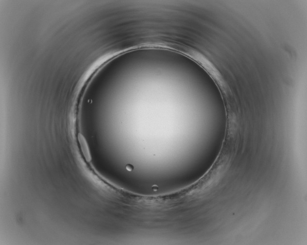 X0000113540955200909181154