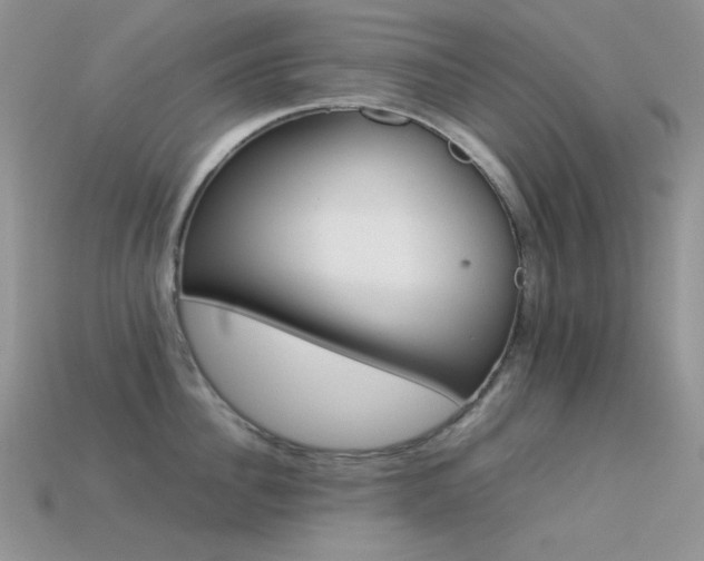 X0000113540956200909181154