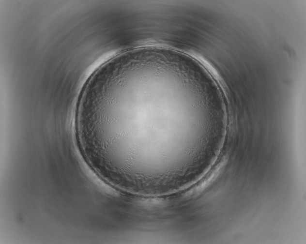 X0000113540957200909181154