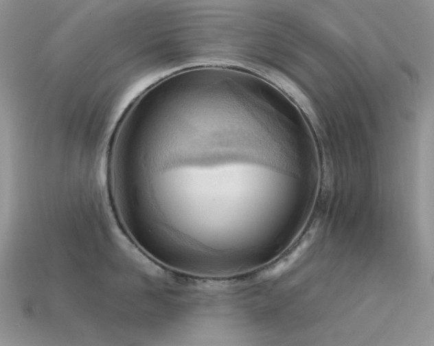 X0000113540958200909181154