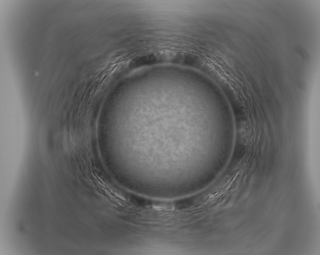 X0000113540961200909181153