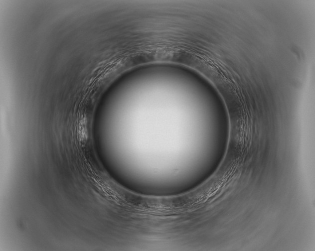 X0000113540962200909181153