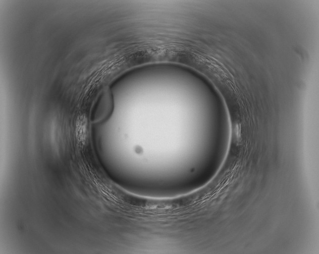 X0000113540963200909181153