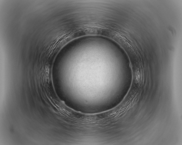 X0000113540964200909181153