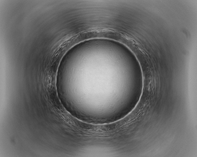 X0000113540966200909181153