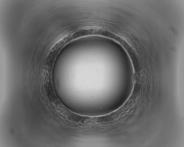 X0000113540967200909181153