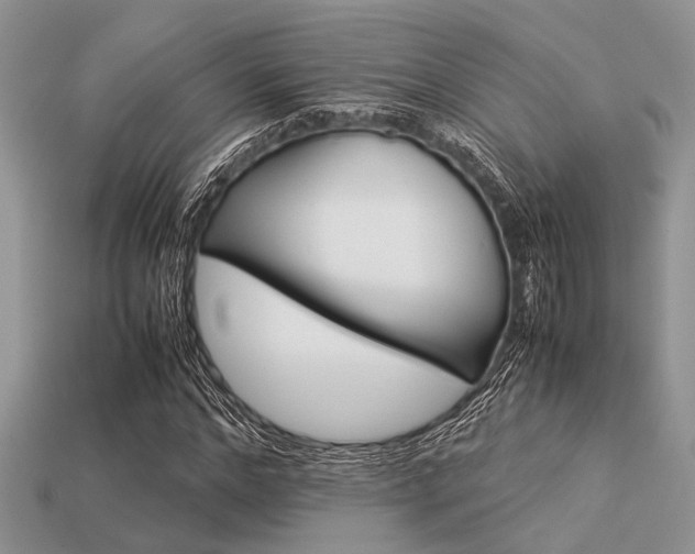 X0000113540968200909181153