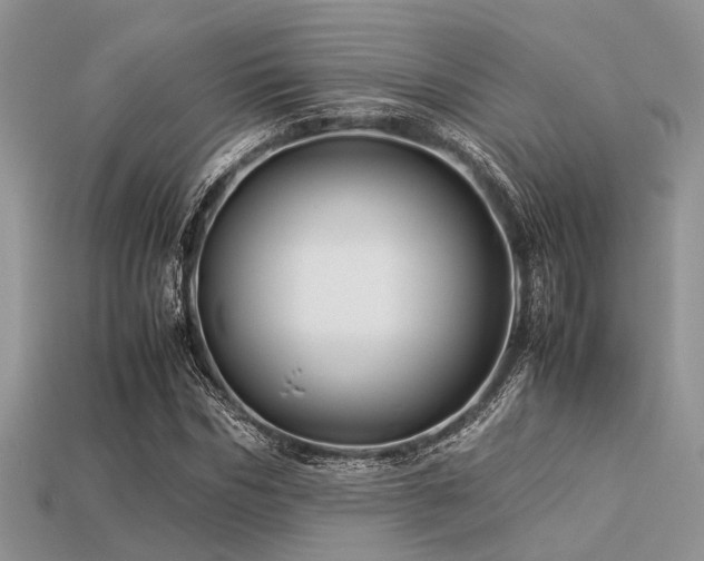 X0000113540970200909181153