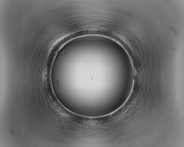 X0000113540971200909181153