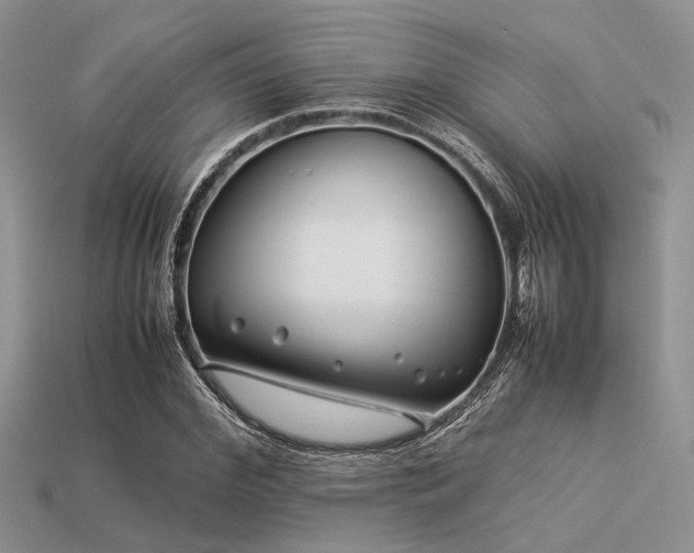 X0000113540972200909181153