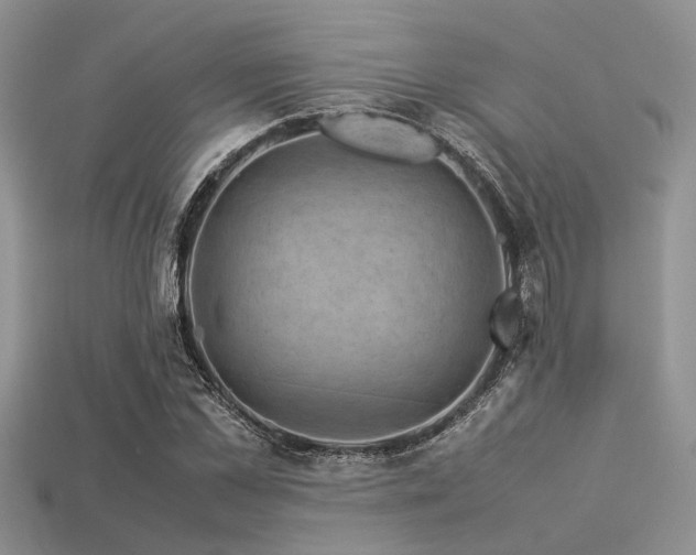 X0000113540973200909181153