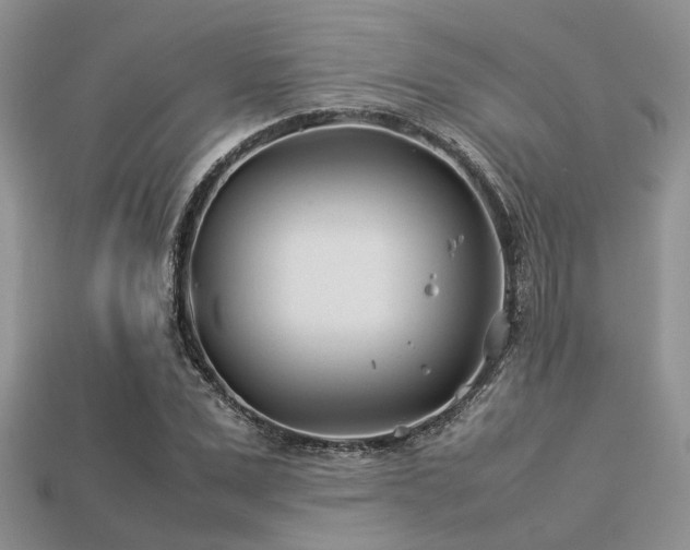 X0000113540975200909181153