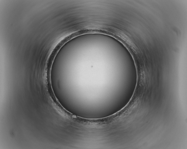 X0000113540976200909181153