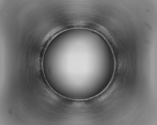 X0000113540978200909181153