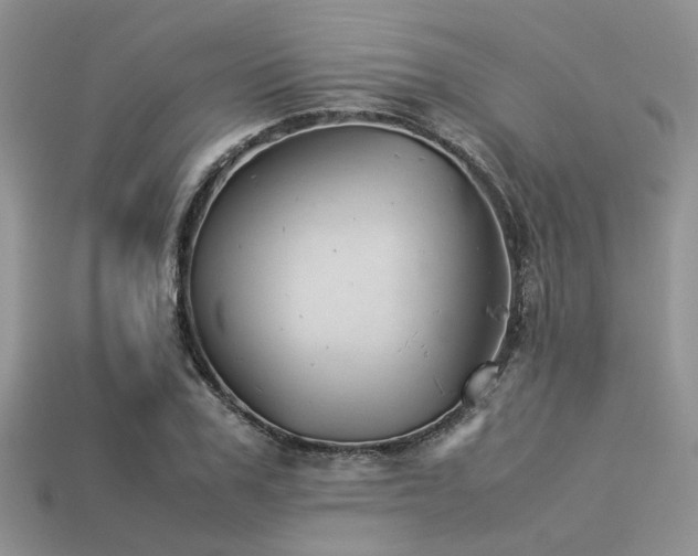 X0000113540979200909181153