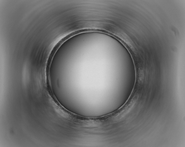 X0000113540980200909181153