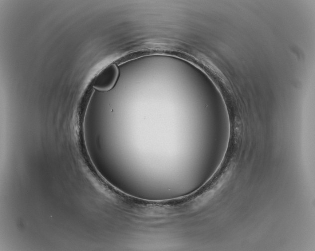 X0000113540981200909181153