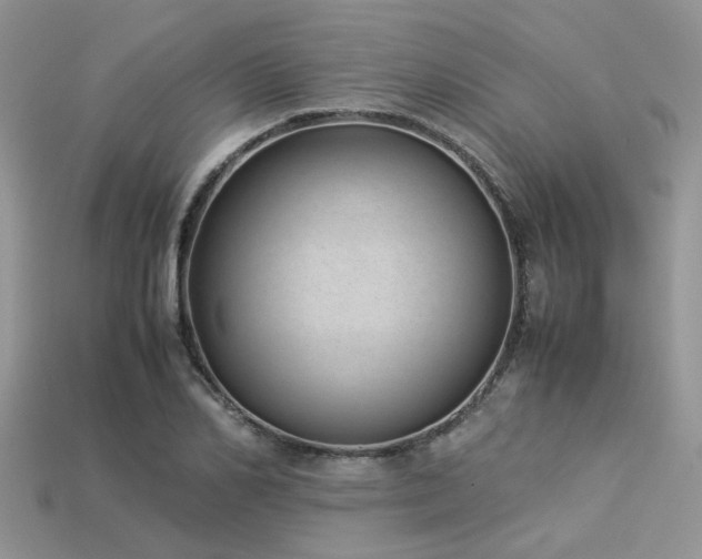 X0000113540982200909181153