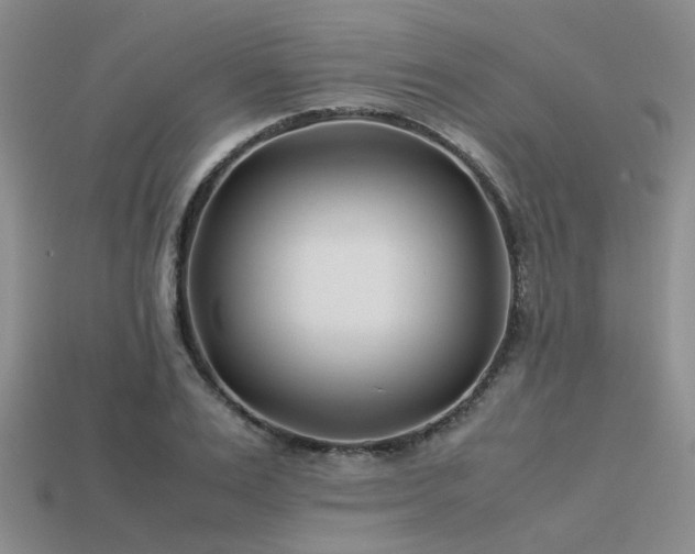 X0000113540983200909181153