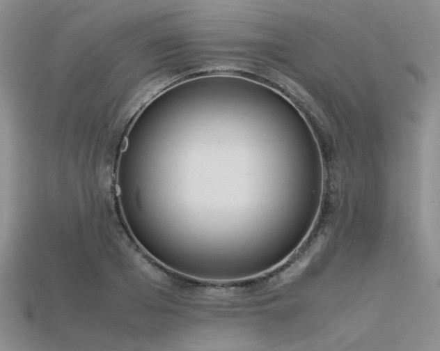 X0000113540985200909181153