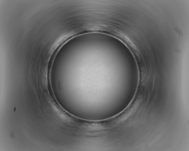 X0000113540986200909181153