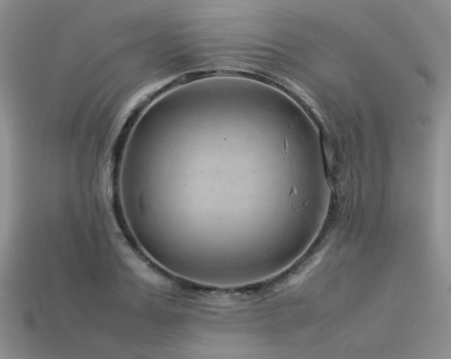 X0000113540987200909181153