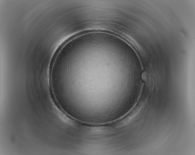 X0000113540988200909181153