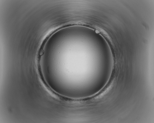 X0000113540989200909181153