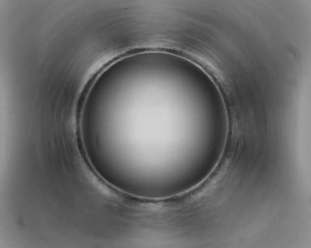 X0000113540990200909181153