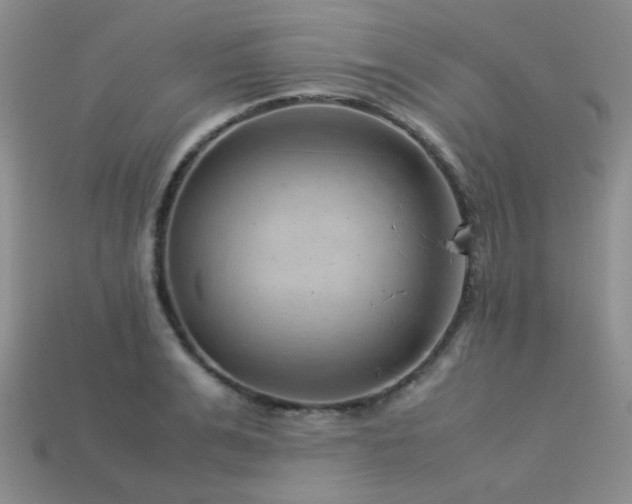 X0000113540991200909181153
